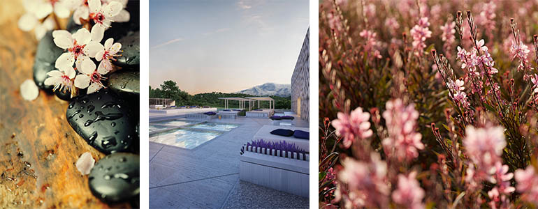  Wellness i spa centar